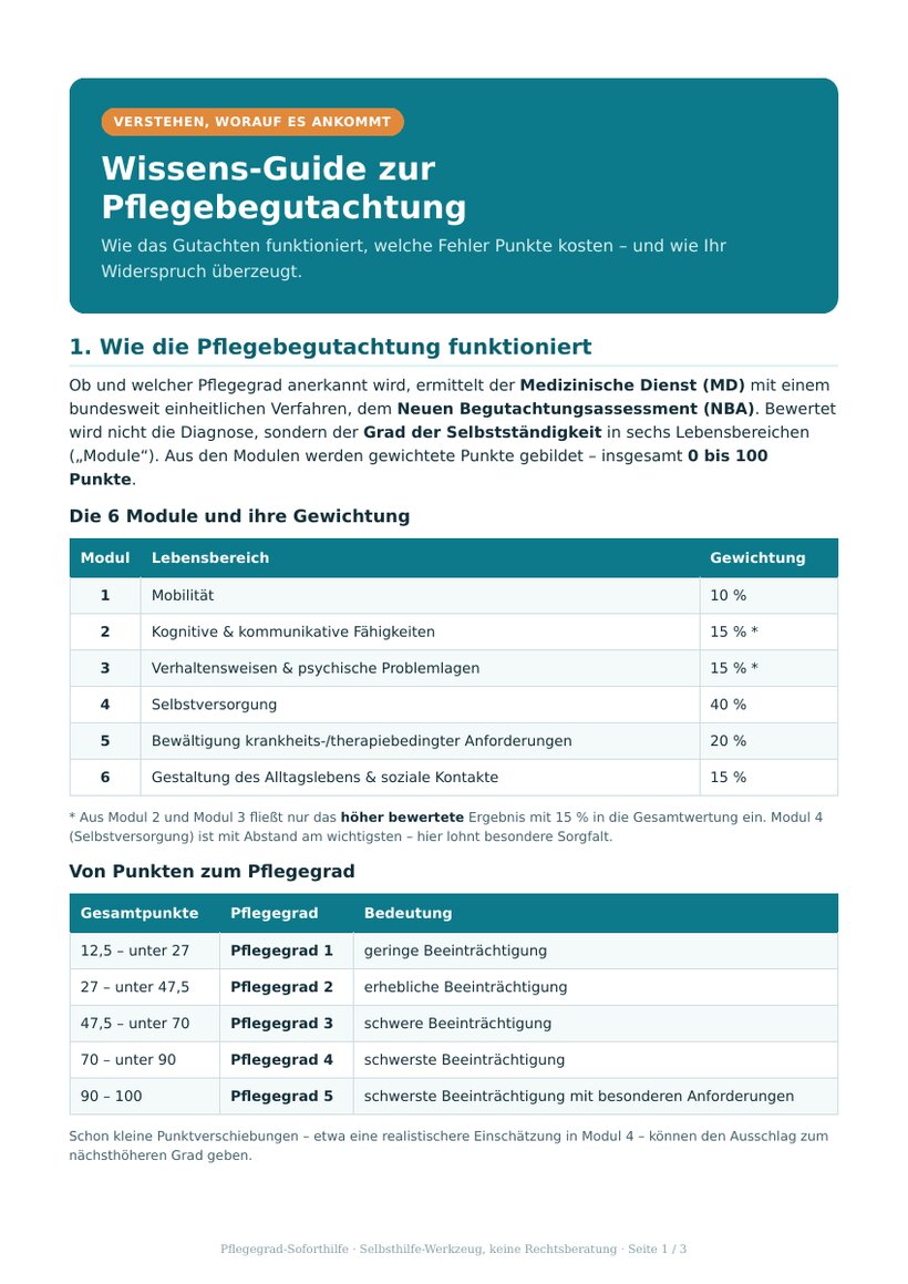 Wissens-Guide zur Pflegebegutachtung