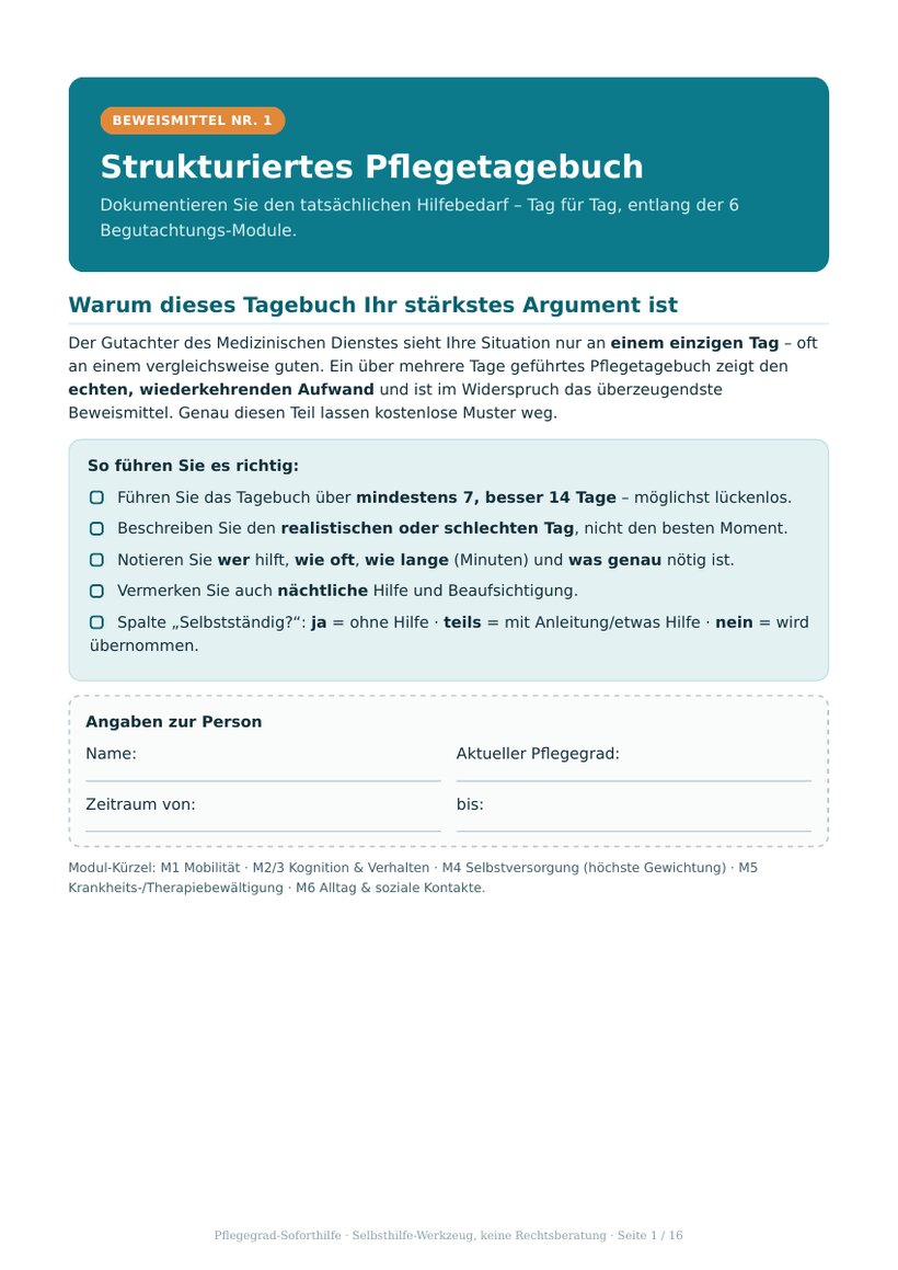 Seite aus dem strukturierten Pflegetagebuch